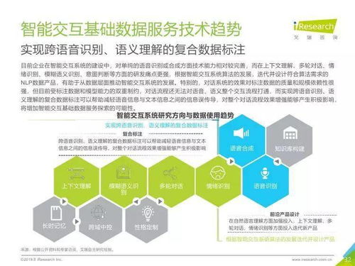 中國人工智能基礎(chǔ)數(shù)據(jù)服務(wù)行業(yè)報(bào)告 數(shù)據(jù)處理服務(wù)的核心價(jià)值與演進(jìn)趨勢